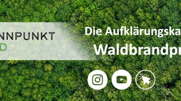 Ein von oben fotografierter Wald. Auf einem weißen Banner steht "Brennpunkt Wald" mit einem Feuer und einem Baum-Icon. Daneben steht "Die Aufklärungskampagne zur Waldbrandprävention". Darunter sind drei Icons für Instagram, YouTube und die Webseite zu sehen. Link zum Projekt "Brennpunkt Wald".