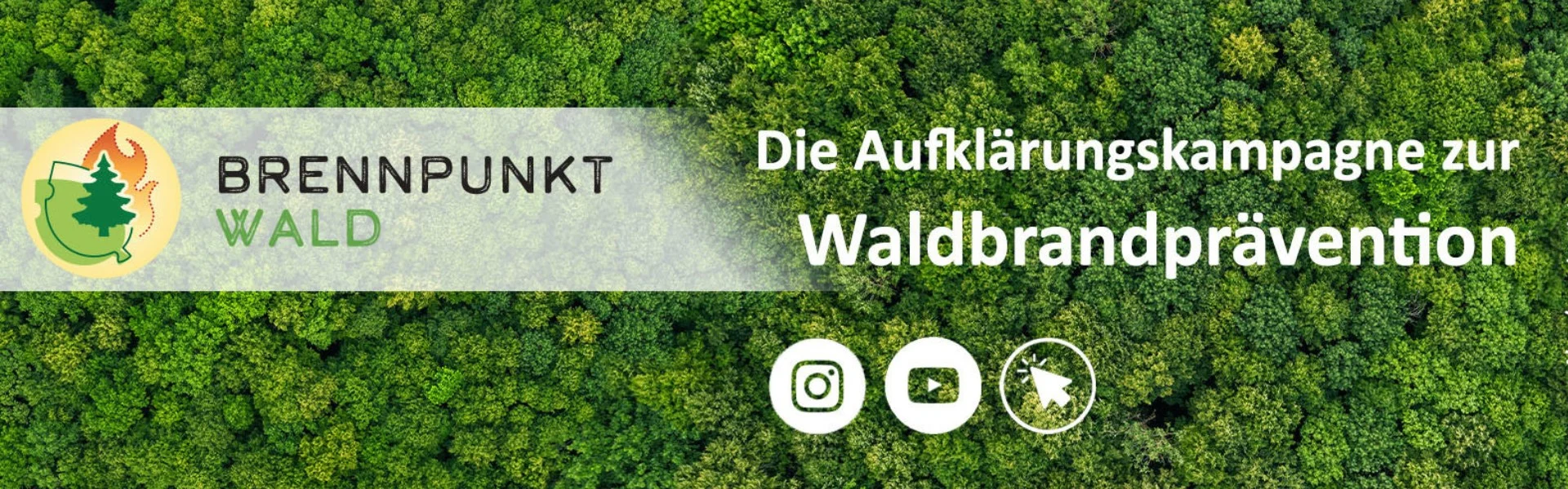Brennpunkt Wald