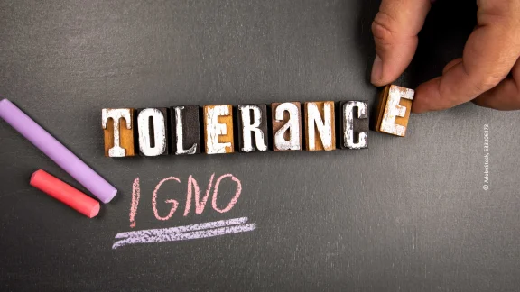 Hand legt mit Holzbuchstaben das Wort tolerance